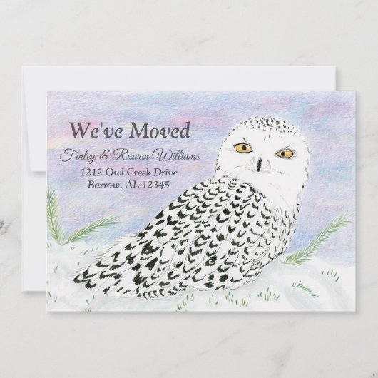 冬の日没のスノーフクロウ色鉛筆の動き 案内状 (正面)