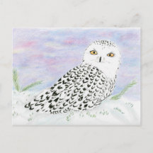 冬の日没のスノーフクロウ色鉛筆