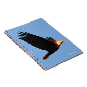 冬の日没のフライトで息をのむようなハゲのワシ ノートブック (右側)