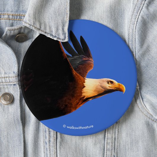 冬の日没のフライトで息をのむようなハゲのワシ 缶バッジ (インサイチュ)