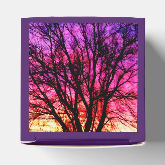 冬の日没の木 フェイバーボックス (上部)