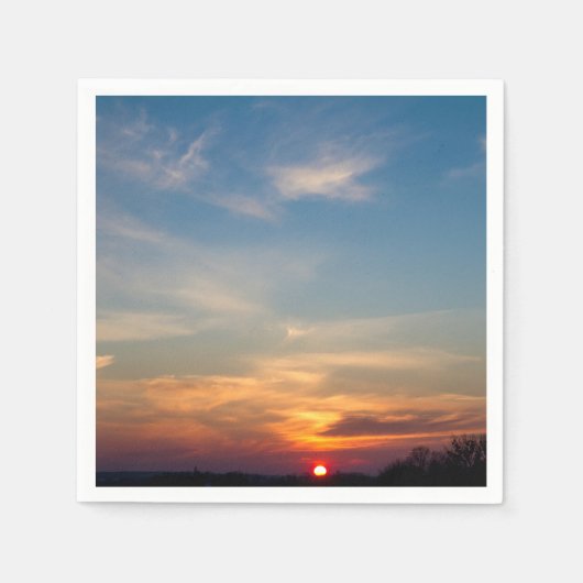 冬の日没の空 スタンダードカクテルナプキン (正面)