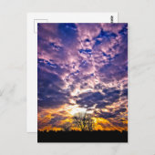 冬の日没はがき ポストカード (正面/裏面)