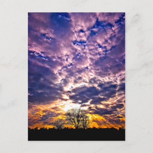 冬の日没はがき ポストカード (正面)