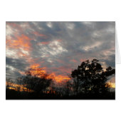 冬の日没自然景観写真 (正面横)