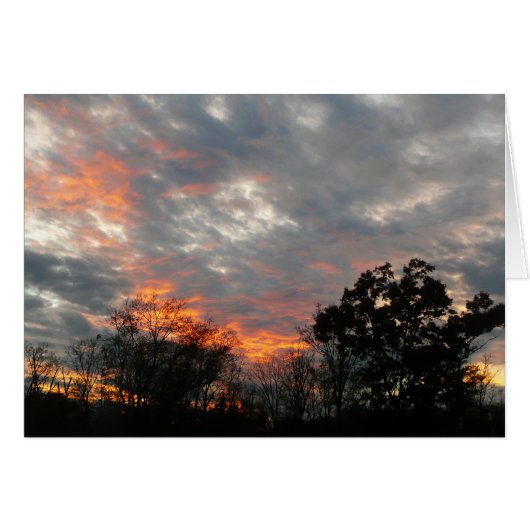 冬の日没自然景観写真 (正面横)