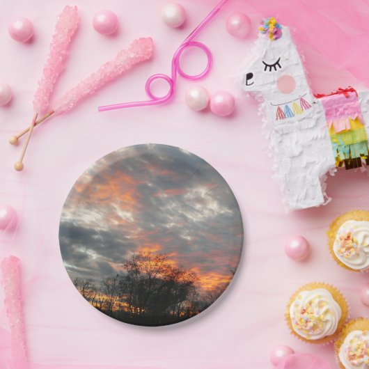 冬の日没自然景観写真 ペーパープレート (パーティー)