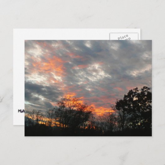 冬の日没自然景観写真 ポストカード (正面/裏面)