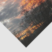 冬の日没自然景観写真 薄葉紙 (詳細)