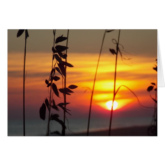 冬の日没 (正面横)