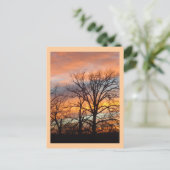 冬の日没1カスタム葉書 ポストカード (スタンド正面)