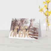 冬の日 カード (黄色い花)