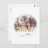 冬の日 ポストカード (正面/裏面)