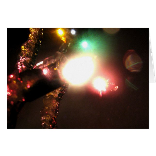 冬の明るい (正面横)