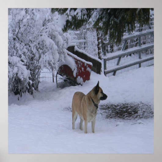 冬の時間….. ポスター (正面)