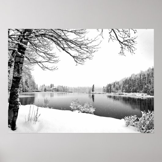 冬の景色のポスター ポスター (正面)