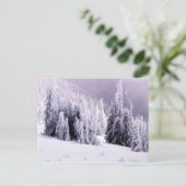 冬の景色 ポストカード (スタンド正面)