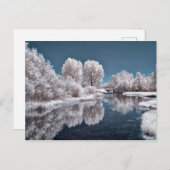 冬の景色 ポストカード (正面/裏面)