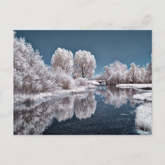 冬の景色 ポストカード (正面)