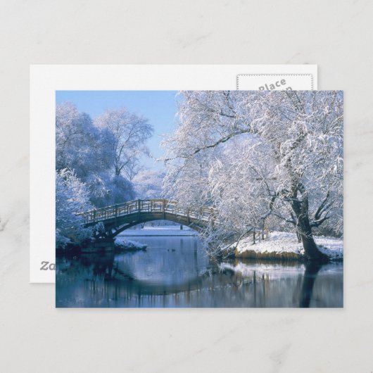 冬の景色 ポストカード (正面/裏面)