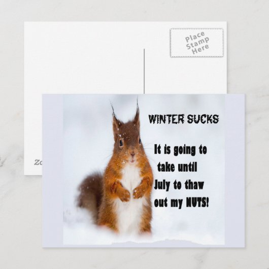 冬の最低 ポストカード (正面/裏面)