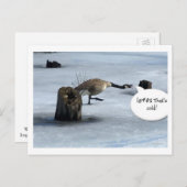 冬の最低 ポストカード (正面/裏面)