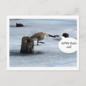 冬の最低 ポストカード (正面)