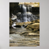 冬の最後の残党 ポスター (正面)