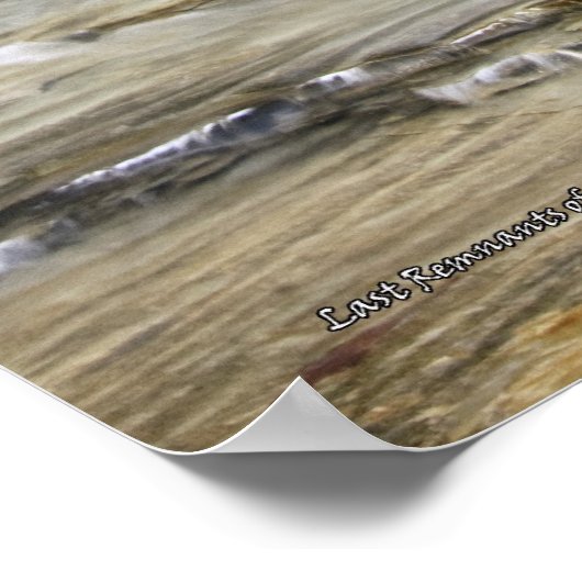 冬の最後の残党 ポスター (角)