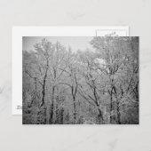 冬の最後 ポストカード (正面/裏面)