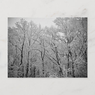 冬の最後 ポストカード