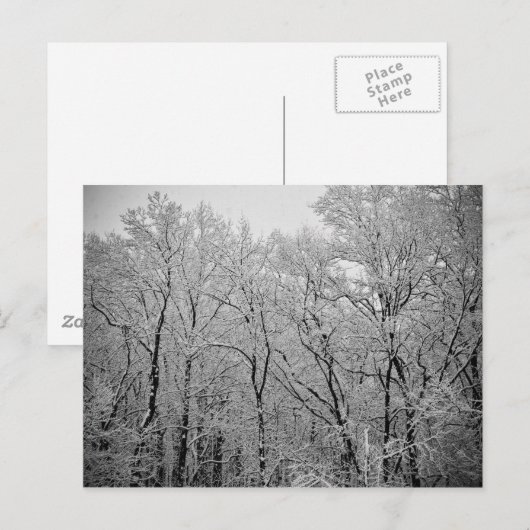 冬の最後 ポストカード (正面/裏面)