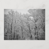 冬の最後 ポストカード (正面)