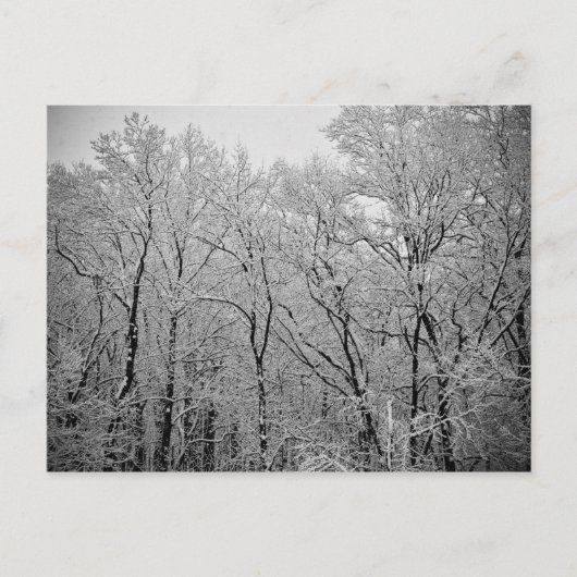 冬の最後 ポストカード (正面)