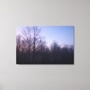 冬の月の朝の風景の写真 キャンバスプリント