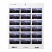 冬の月の朝の風景の写真 ラベル (フルシート)