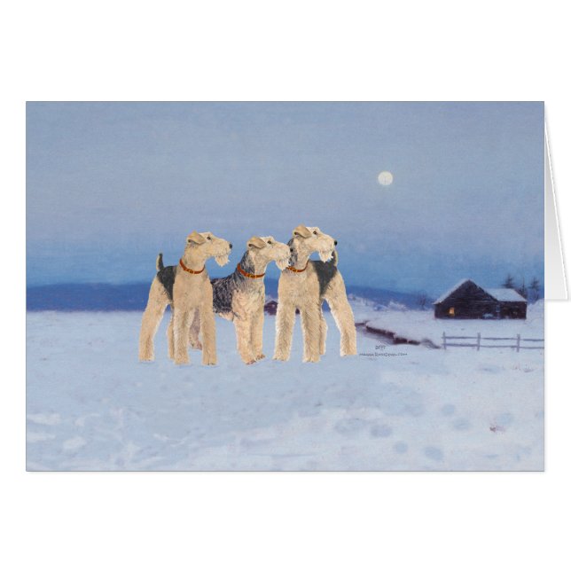 冬の月光 (正面横)