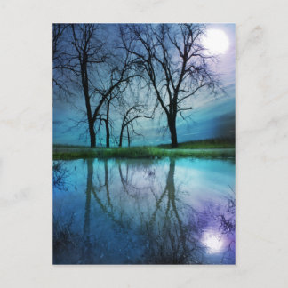 冬の月葉書 ポストカード