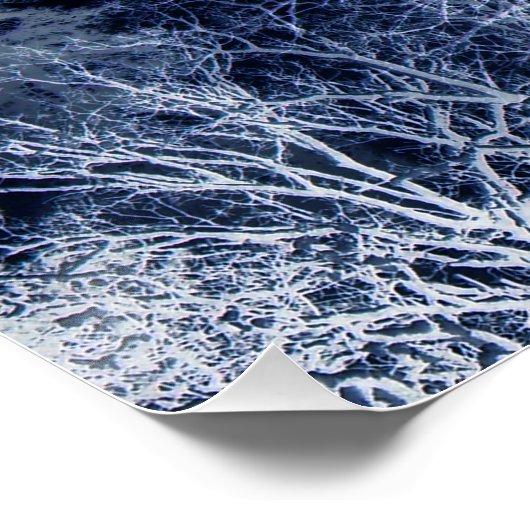 冬の月… ポスター (コーナー)