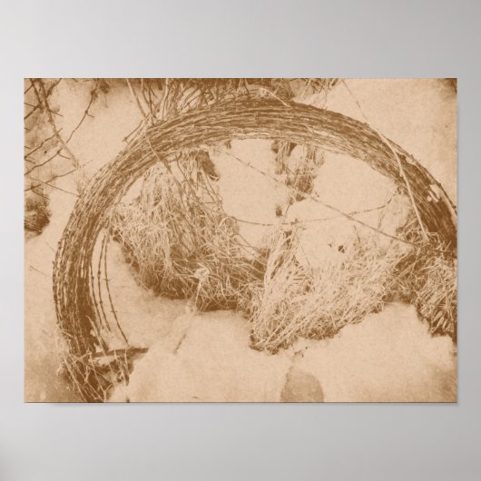 冬の有刺鉄線 ポスター (正面)