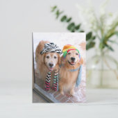 冬の服を着たゴールデンレトリバー ポストカード (スタンド正面)