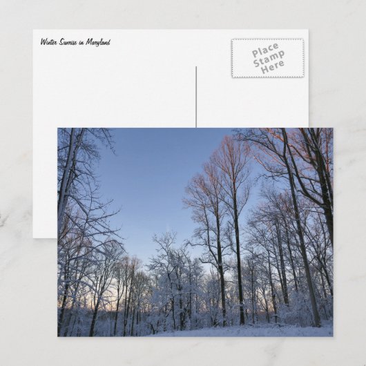 冬の朝の光 - 風景 ポストカード (正面/裏面)