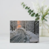 冬の朝の太陽光写真 ポストカード (スタンド正面)