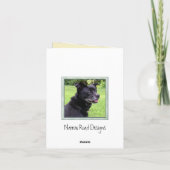 冬の朝の日の出の写真 カード (裏面)