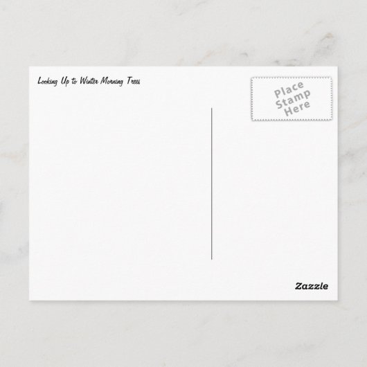 冬の朝の木を見上げる ポストカード (裏面)