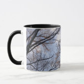 冬の朝の木を見上げる マグカップ (左)