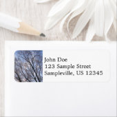 冬の朝の木を見上げる ラベル (インサイチュ)