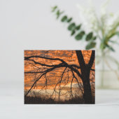 冬の朝の空の火災 ポストカード (スタンド正面)