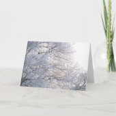冬の朝の雪 霜の降りた枝 自然 カード (正面)