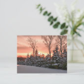 冬の朝日 ポストカード (スタンド正面)